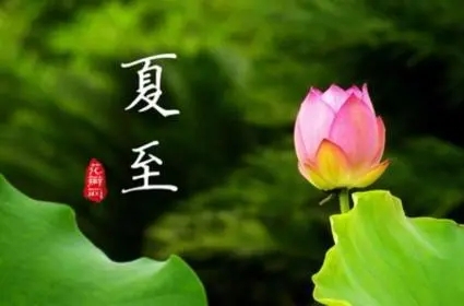 u=2475229577,1231689052&fm=253&fmt=auto&app=138&f=JPEG.webp.jpg